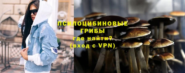 стафф Коряжма