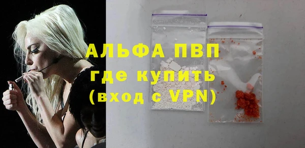 стафф Коряжма