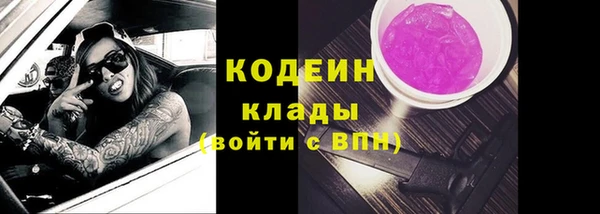 стафф Коряжма