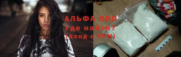 прущая мука Корсаков