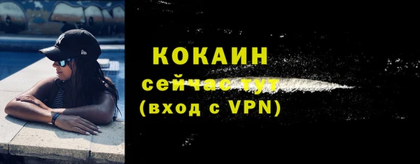 стафф Коряжма