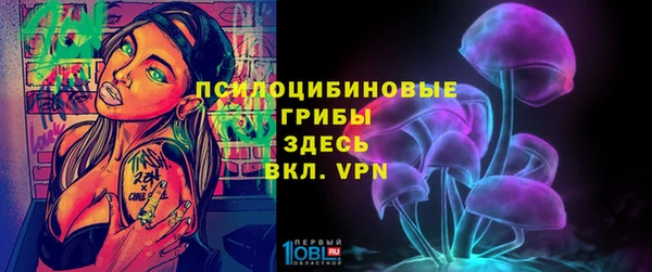 стафф Коряжма