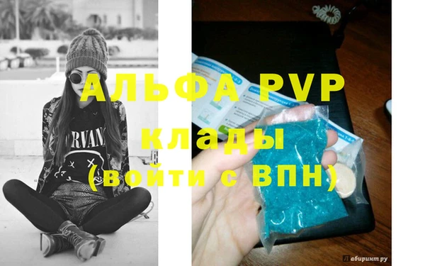 стафф Коряжма